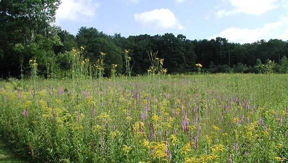 Jennings Environmental Education Center