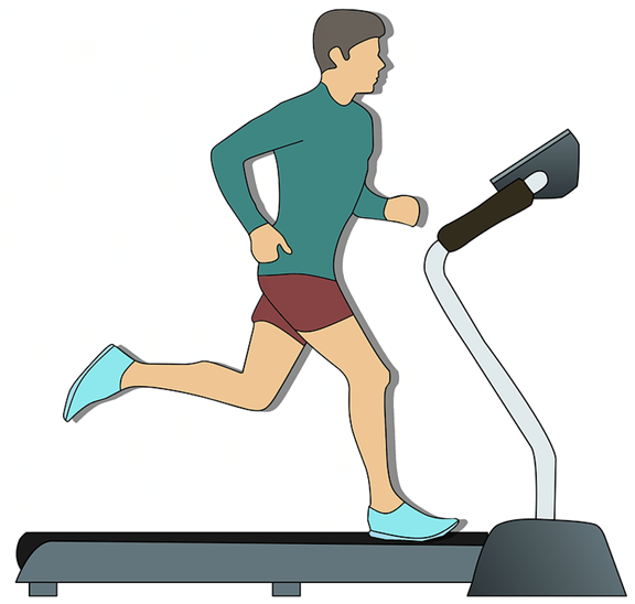 Adult Fitness Equipment