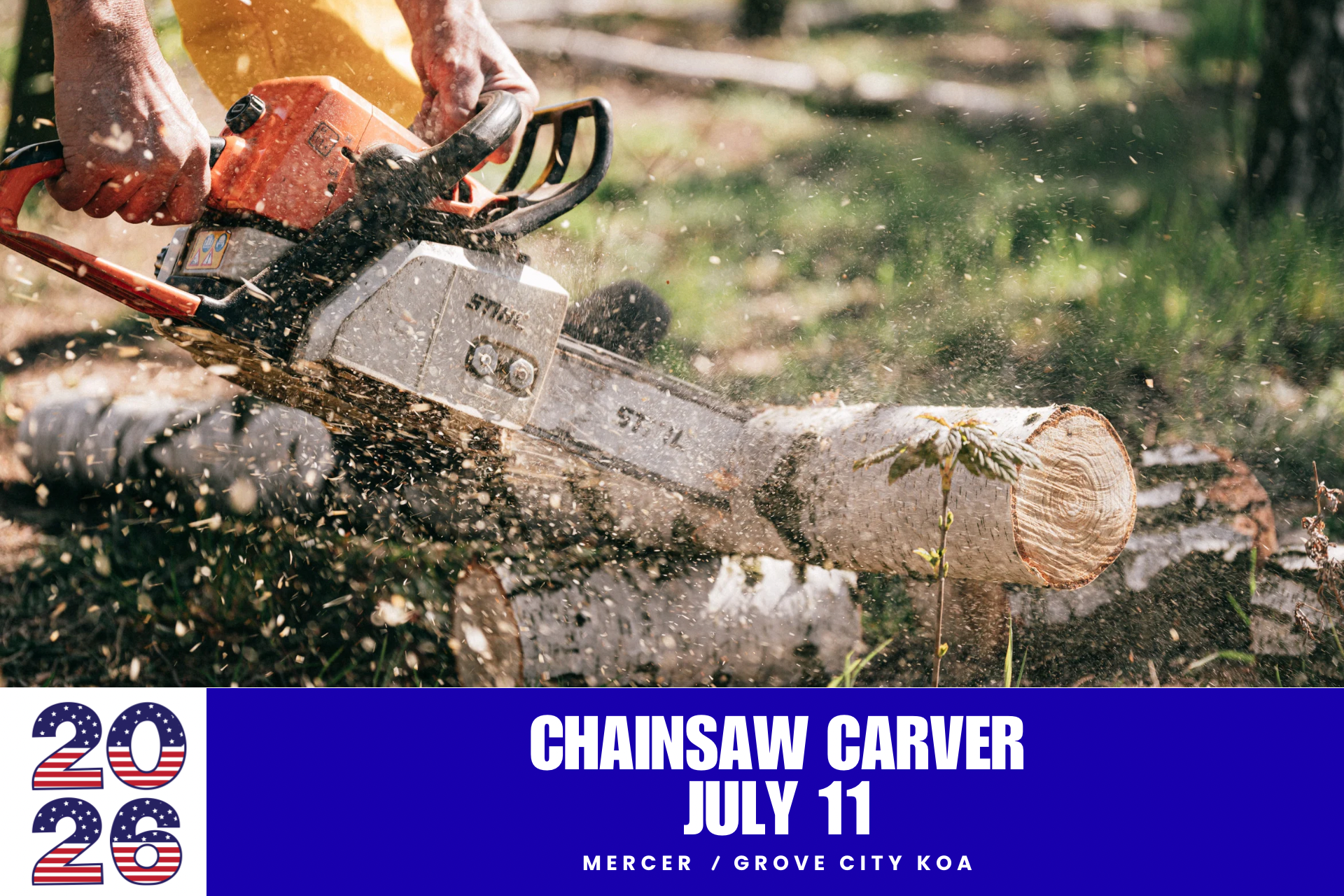 Chainsaw Carver Photo