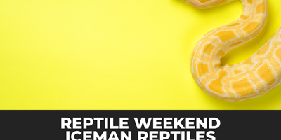 Reptile Weekend - Iceman