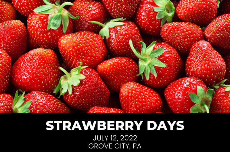 Strawberry Days Event at the Mercer / Grove City KOA Holiday