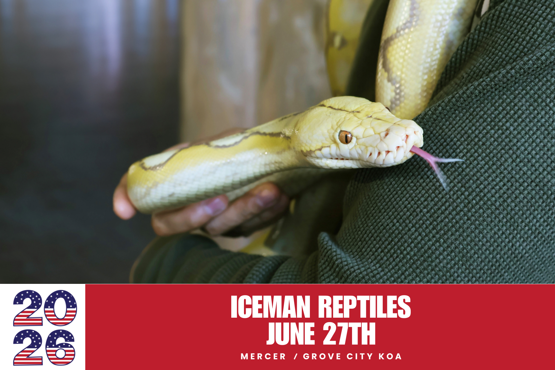 Iceman Reptiles Photo