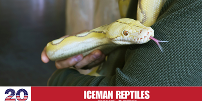 Iceman Reptiles