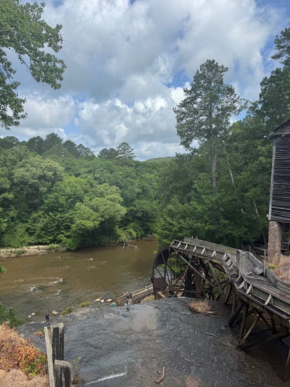 Experience the Tranquil Beauty of Dunn's Falls Park