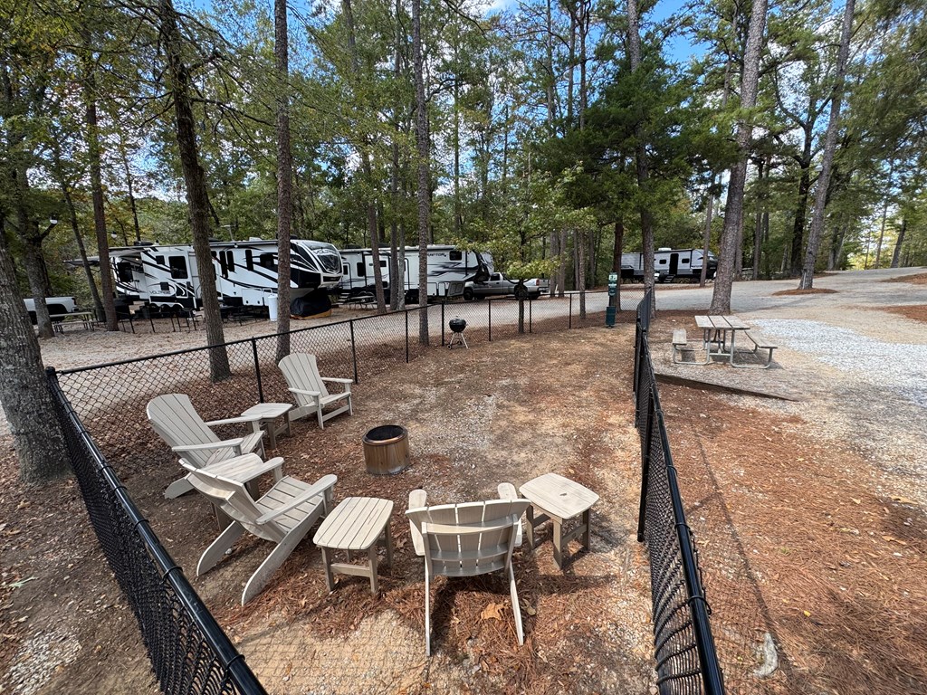 Great Week for Four Legged Campers!