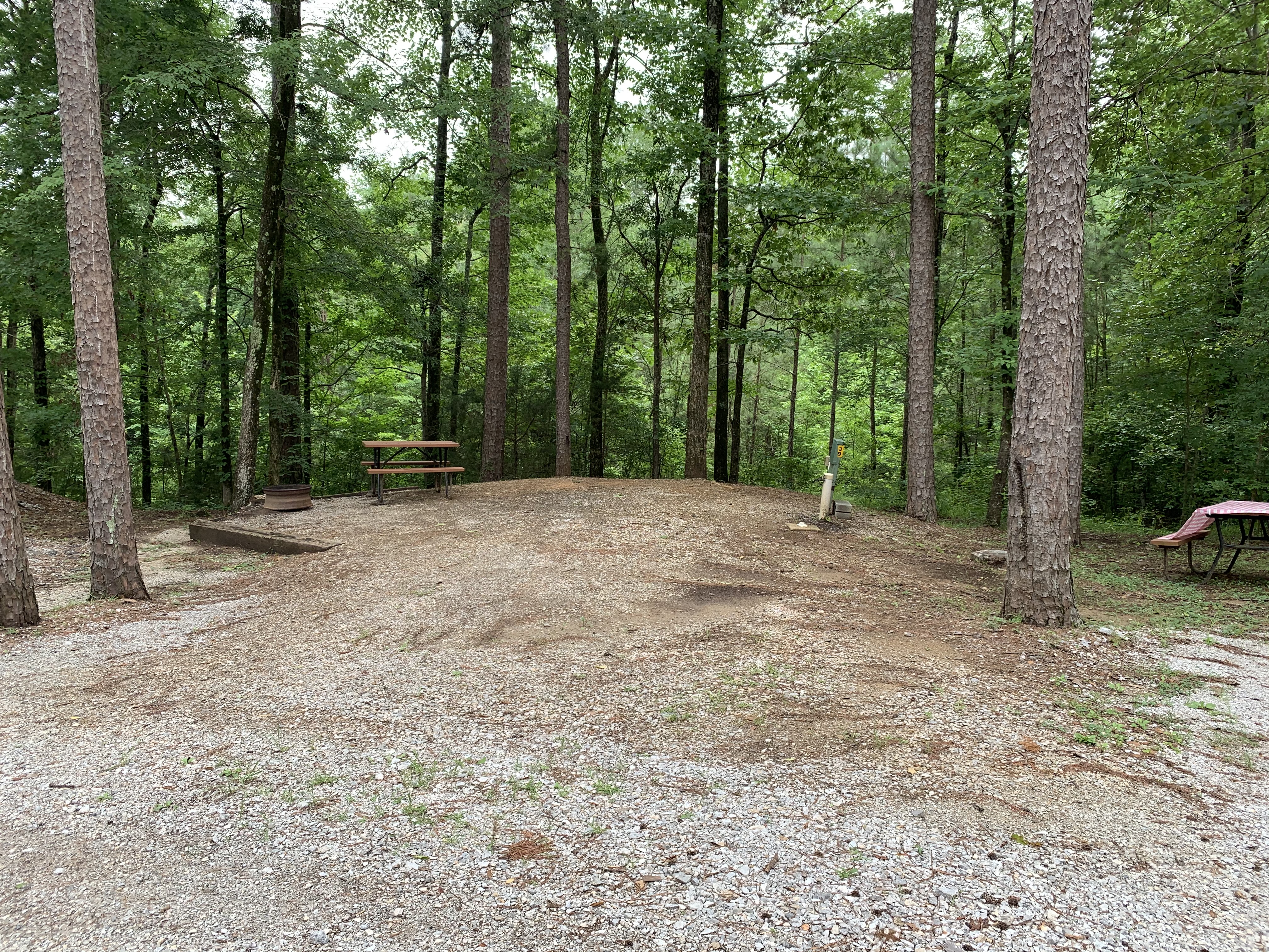 Escaping to the Piney Woods: Your Guide to Mississippi's Meridian East/Toomsuba KOA