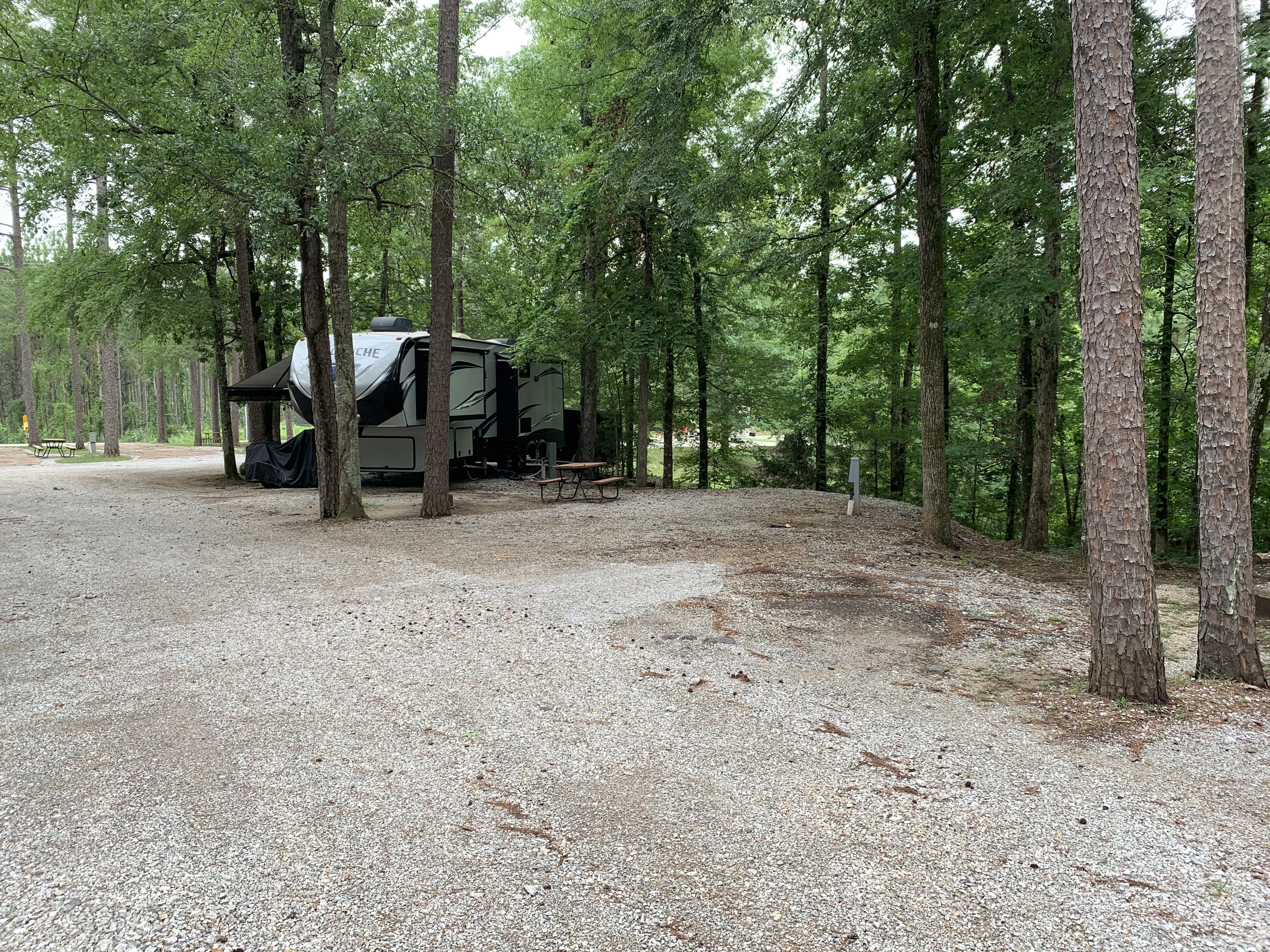 Escaping to the Piney Woods: Your Guide to Mississippi's Meridian East/Toomsuba KOA