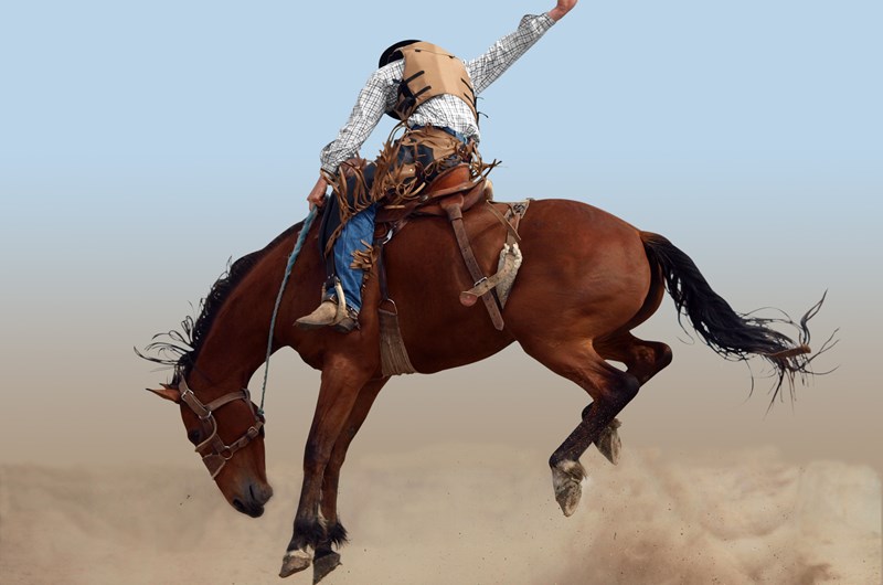 Lost Dutchman Days Rodeo Photo