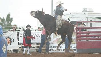Gilbert Days Rodeo and Festival Photo