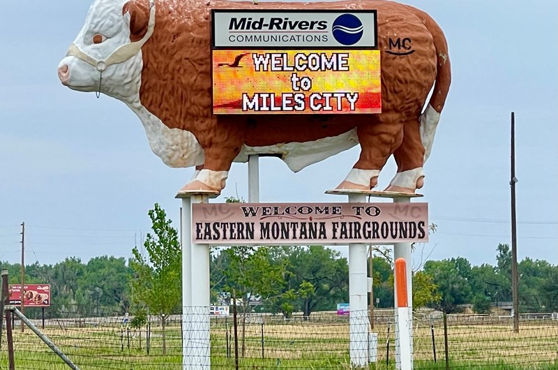 Eastern Montana Fair Photo