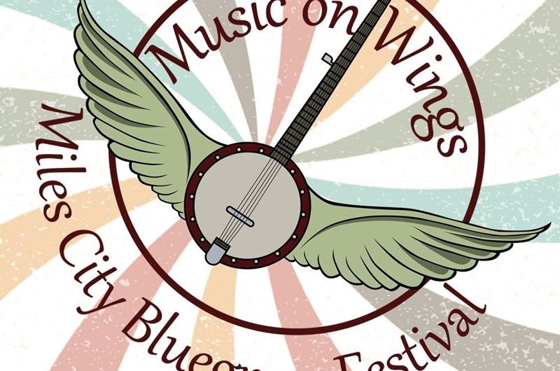 Bluegrass Festival Photo