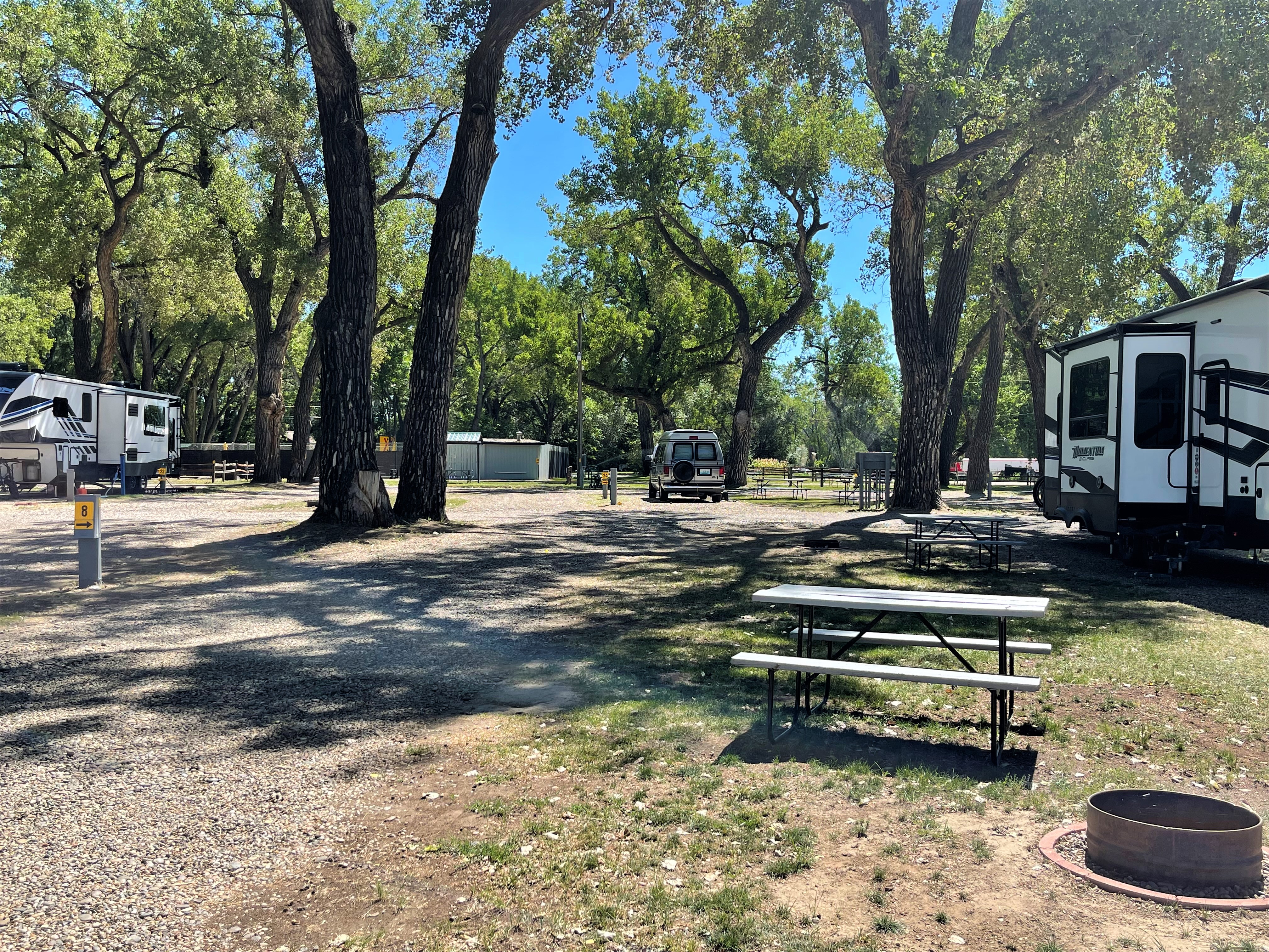 Site 8