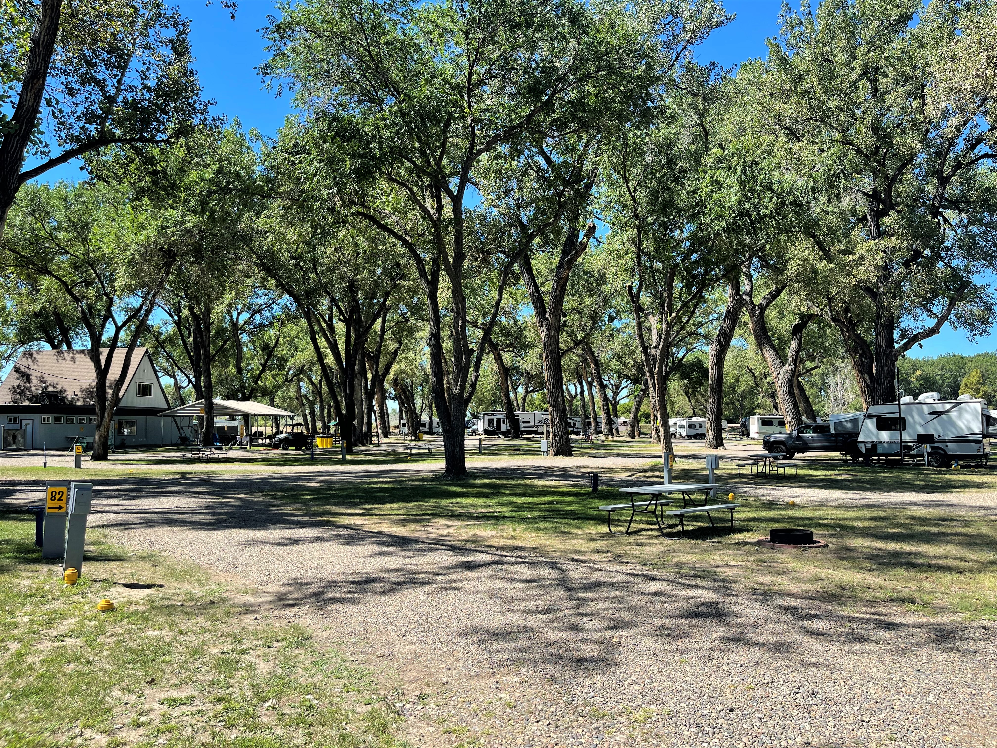 Site 82