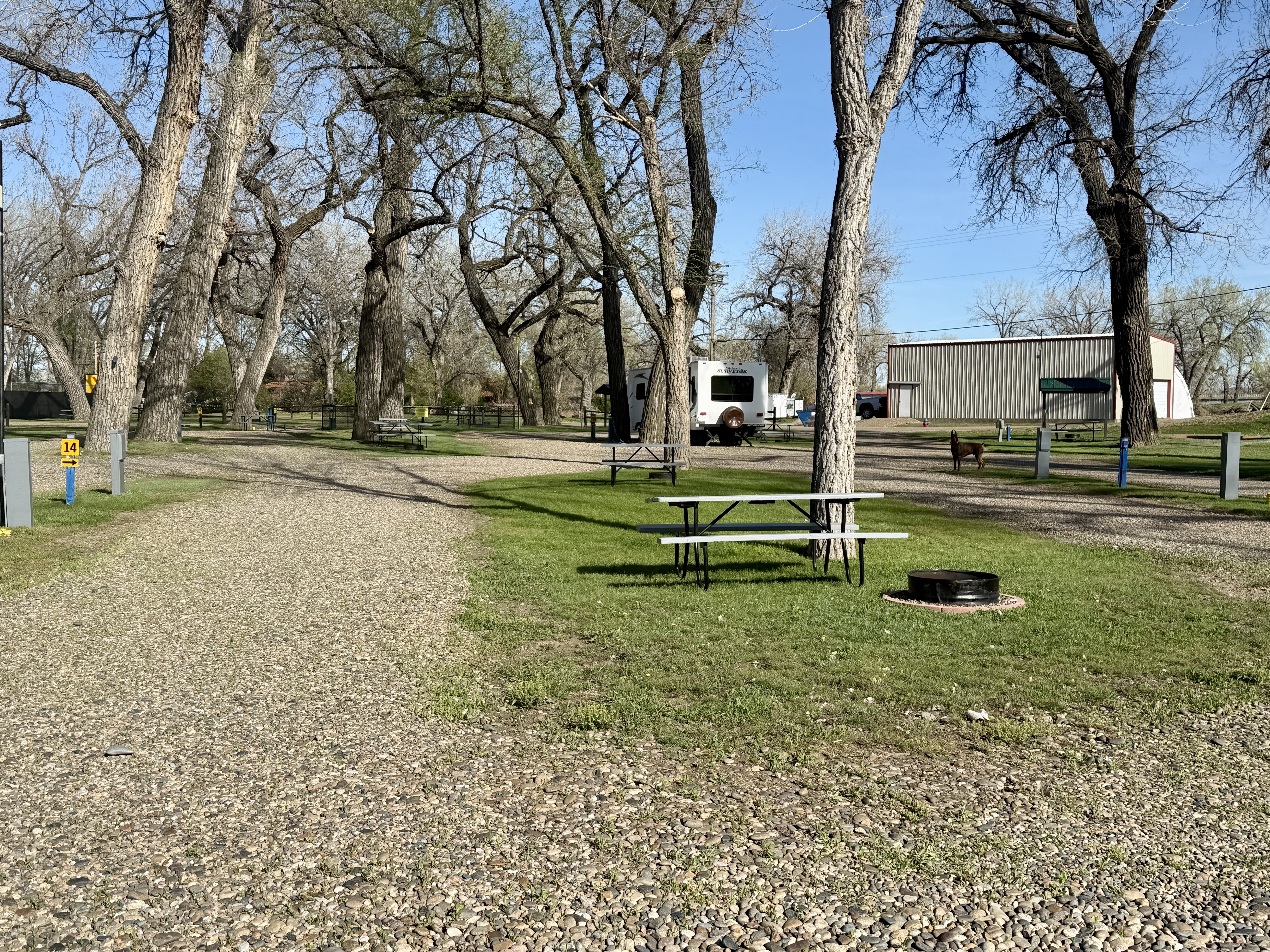 Site 14