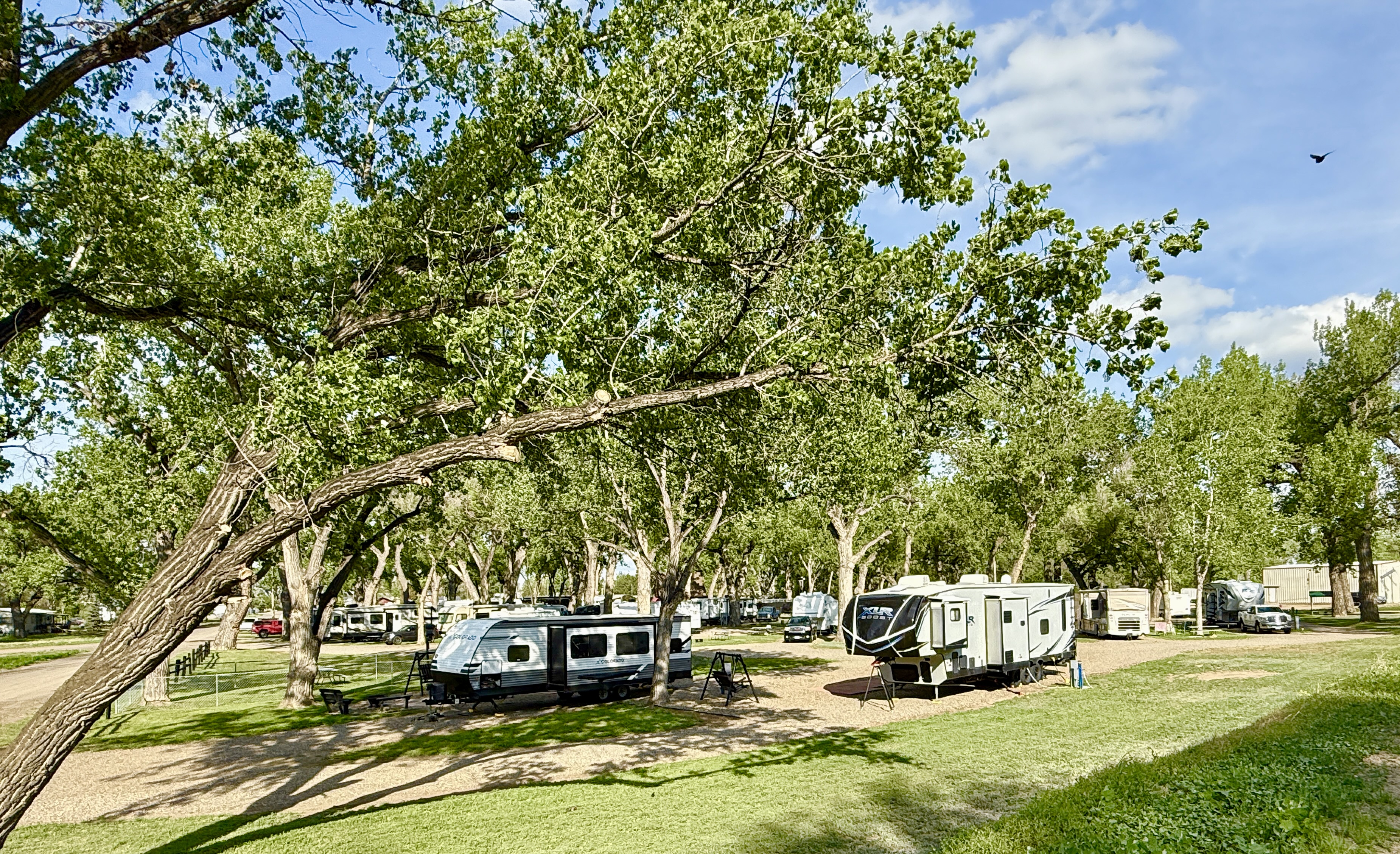 Deluxe Patio Sites