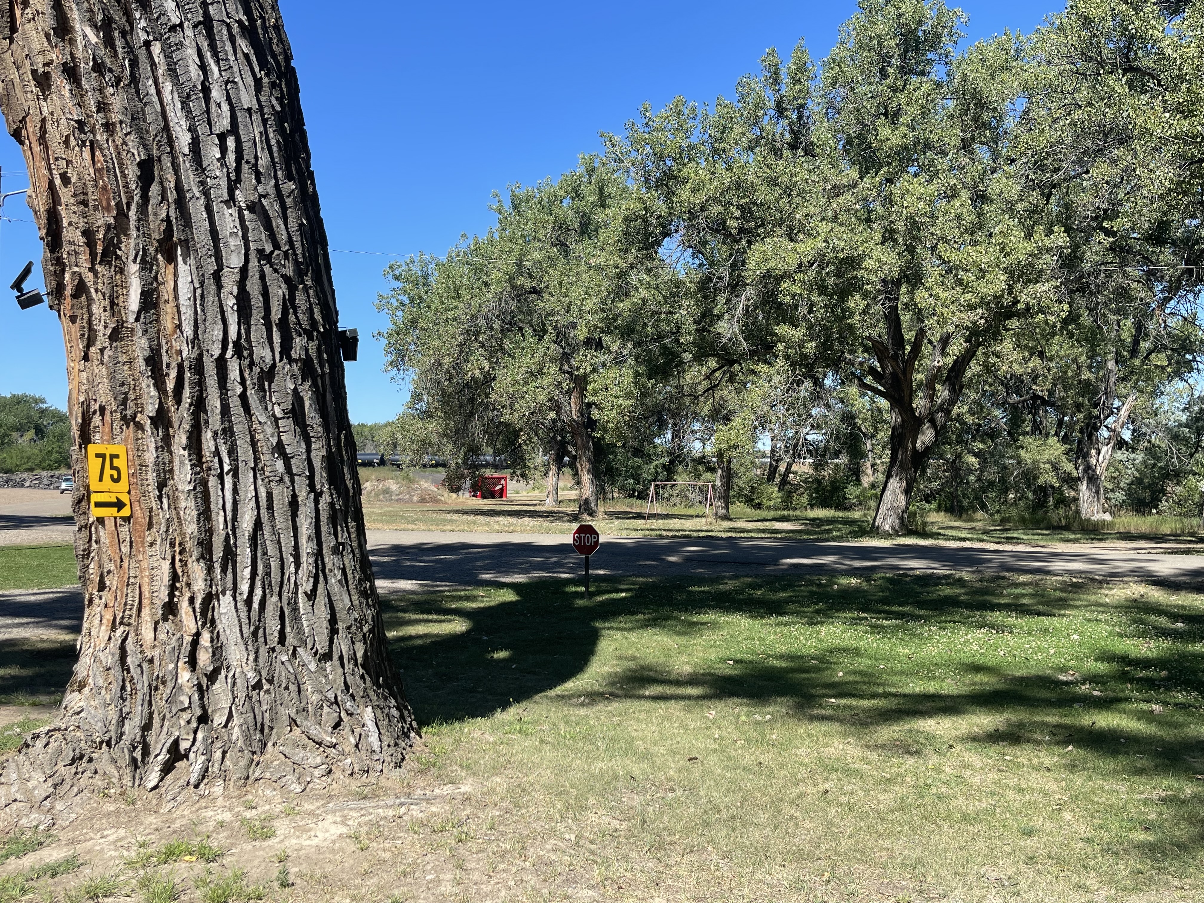 Tent site 75