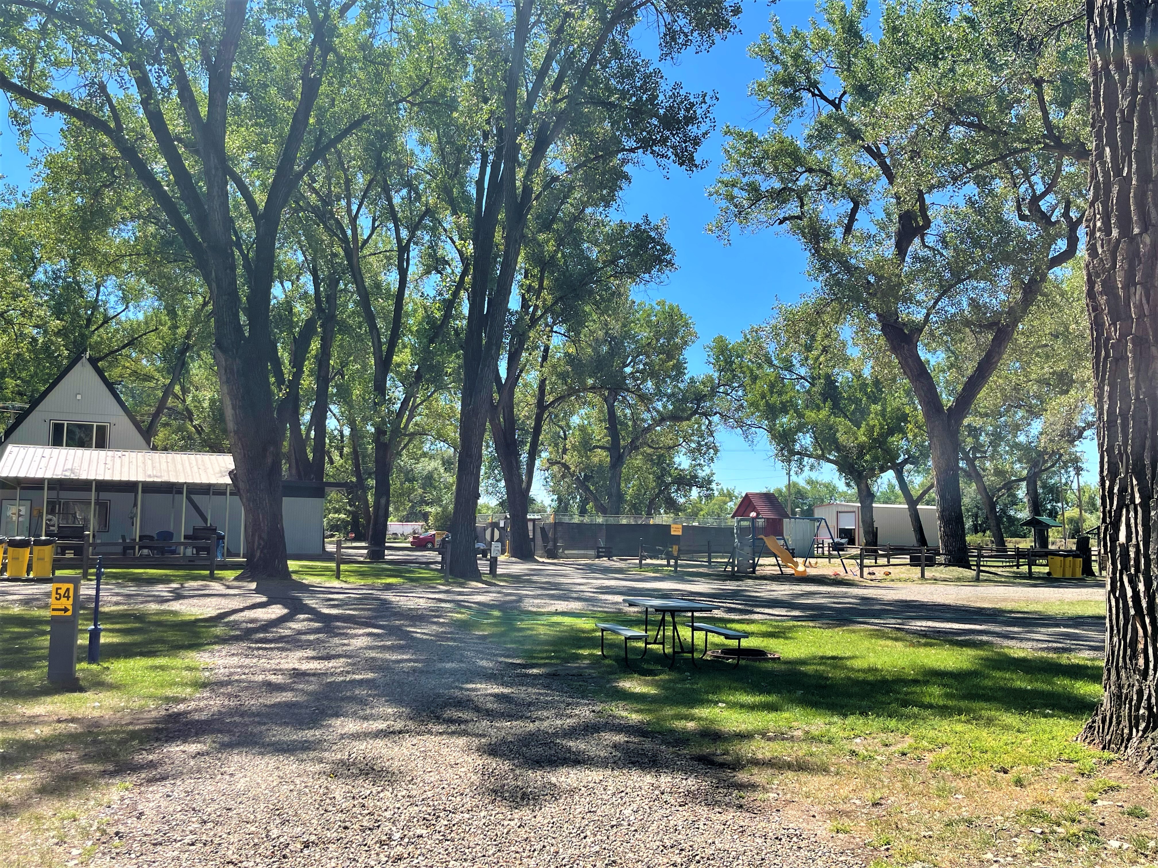 Site 54