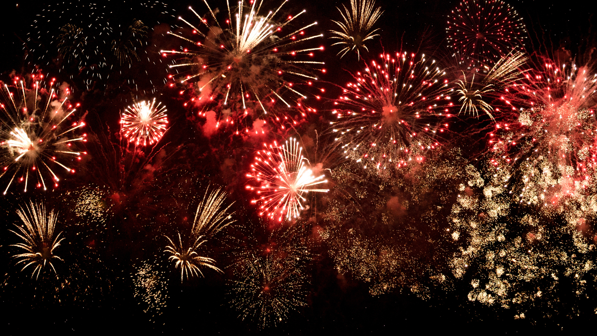 Freedom Fest Photo