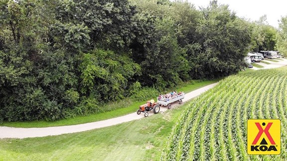 Hayrides