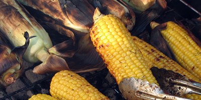 Corn Roast 1