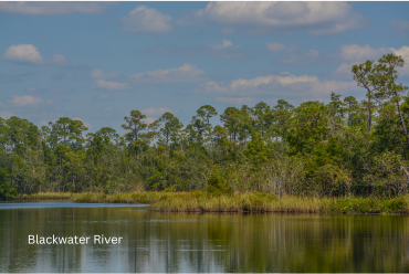 Blackwater River State Park