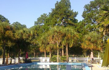 Milton / Gulf Pines KOA Holiday Photo