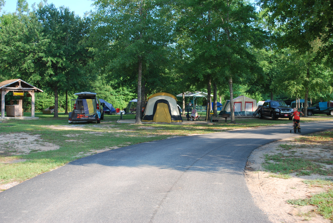 Milton, Florida Tent Camping Sites Milton / Gulf Pines KOA