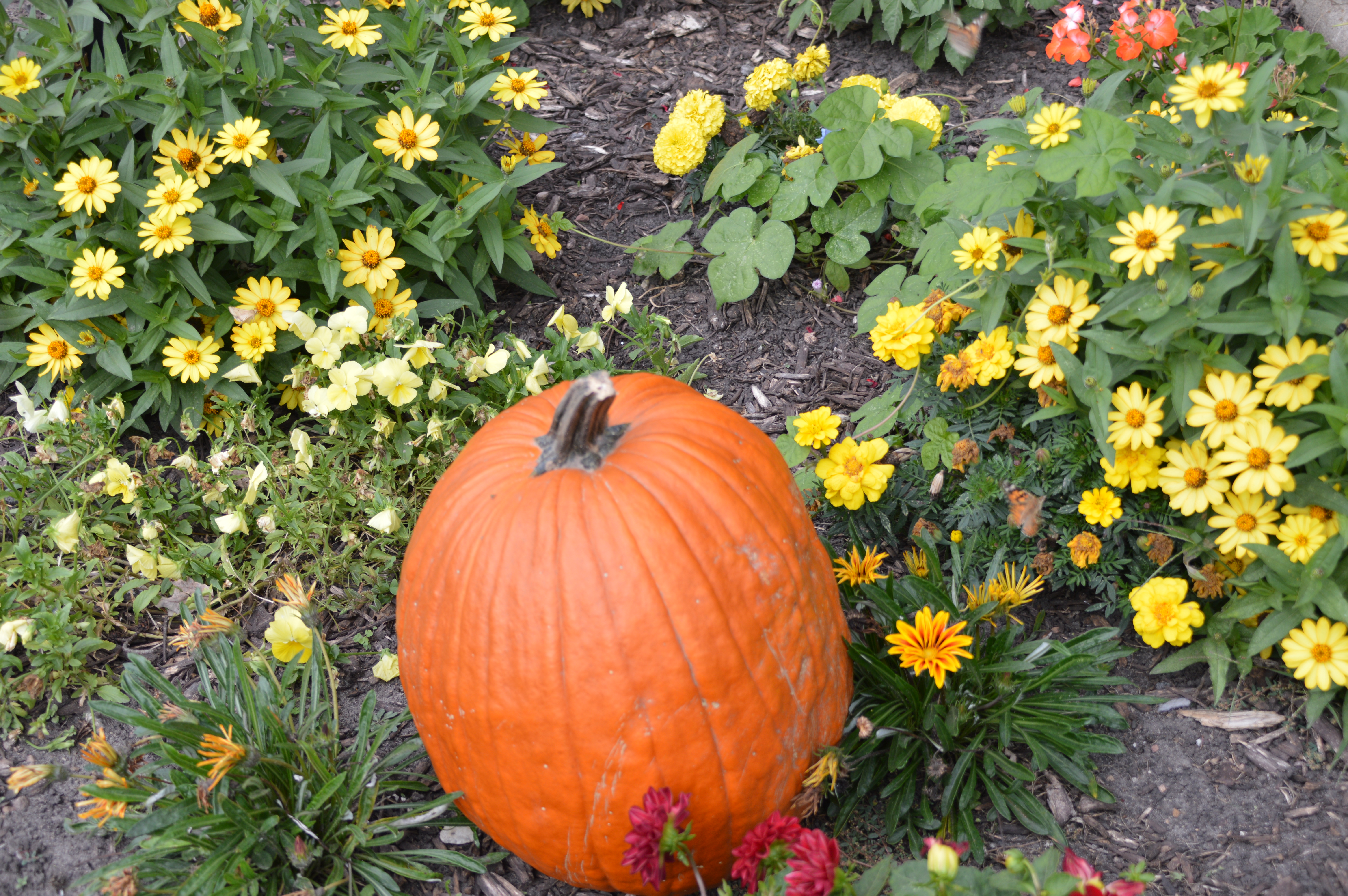 Jordan, Minnesota Campground Minneapolis Southwest KOA
