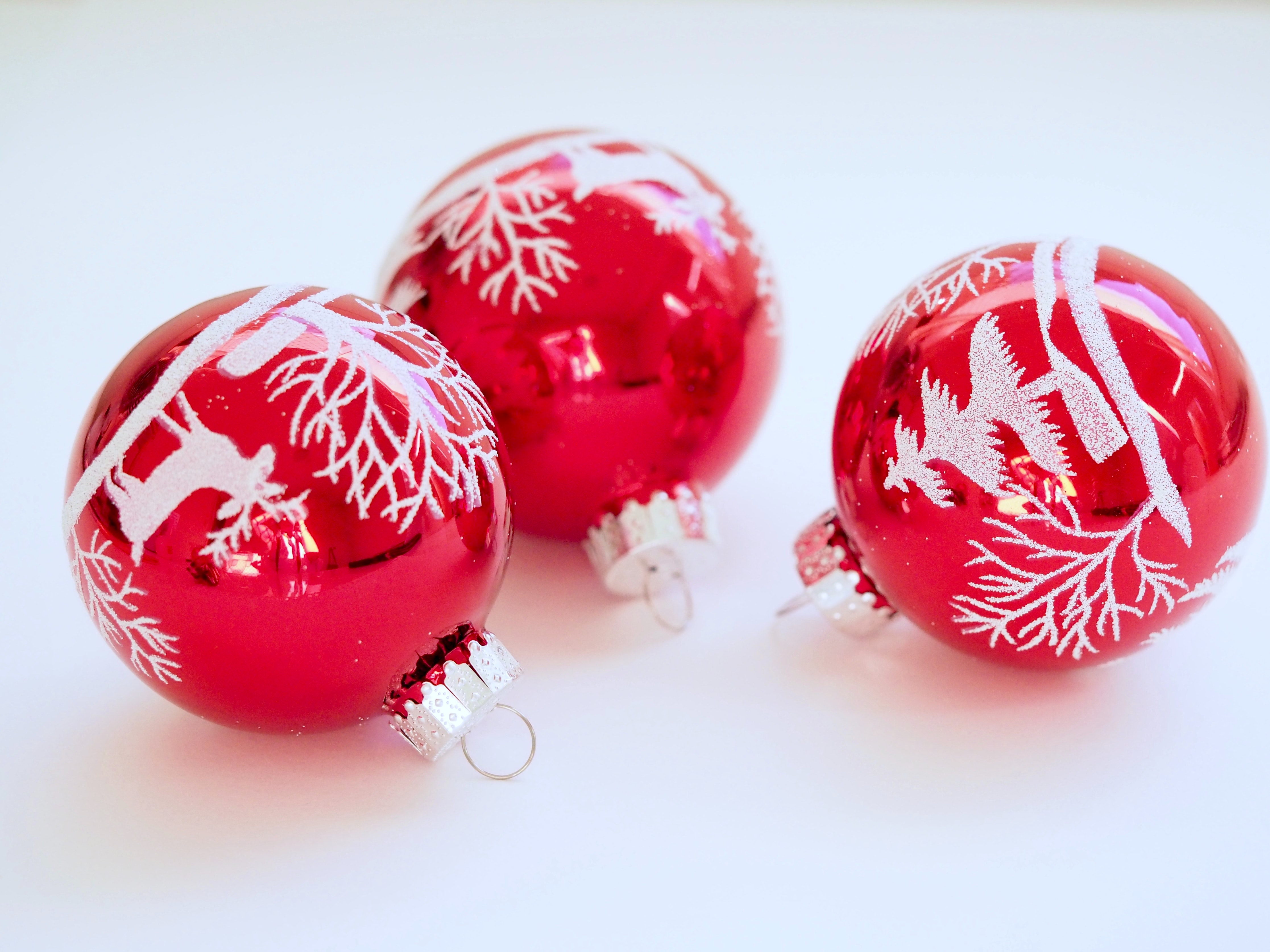 Christmas in July Photo