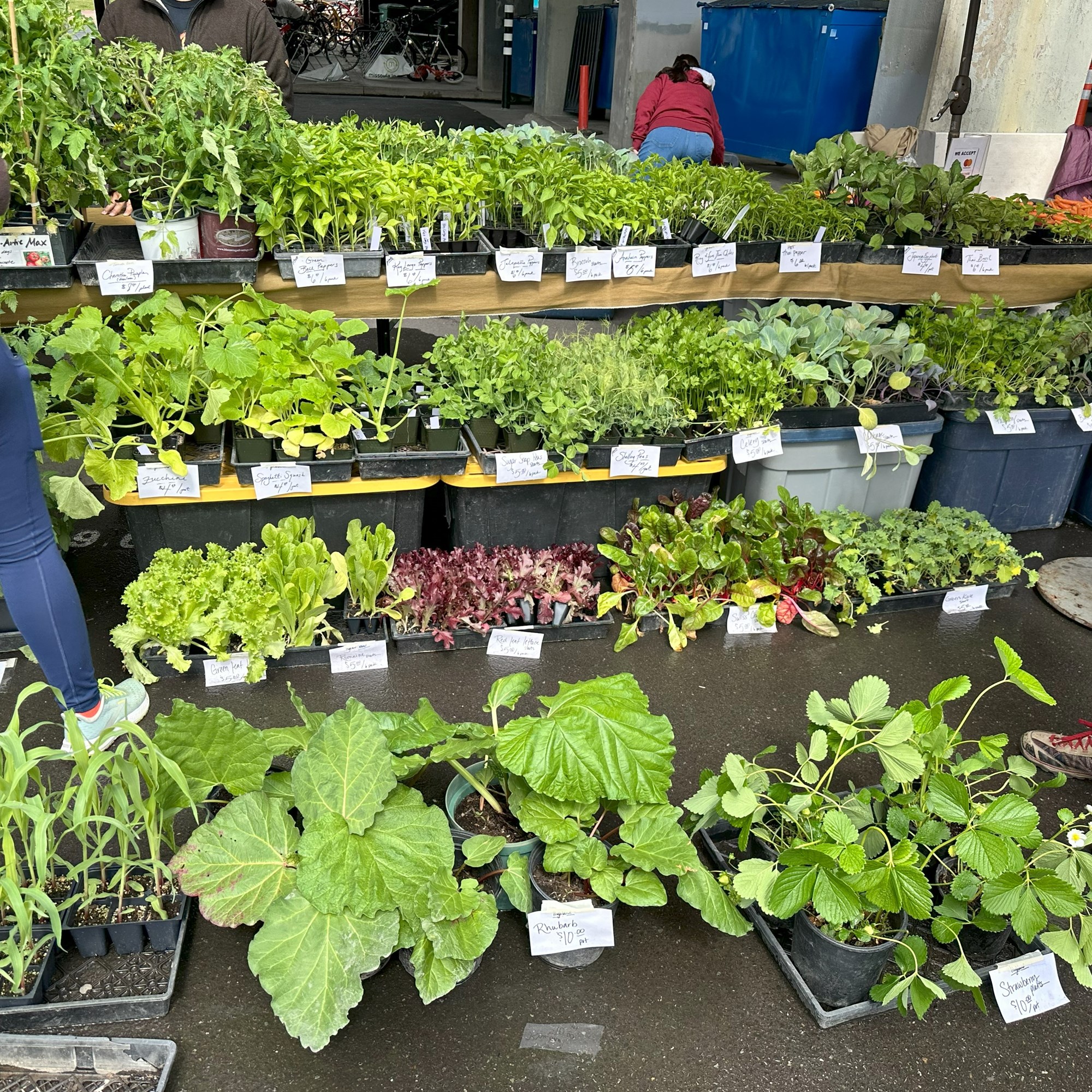 Tuesday Evening Farmers' Market  June - September Photo