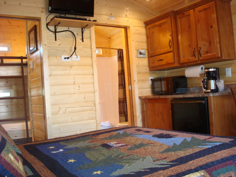 Little Bear Deluxe Cabin Studio