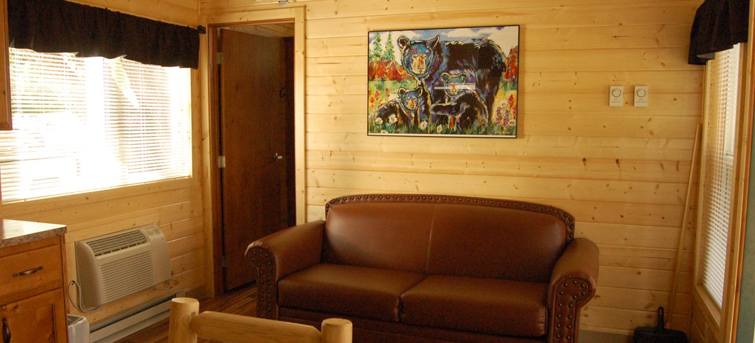 Big Bear Deluxe Cabin Living Area