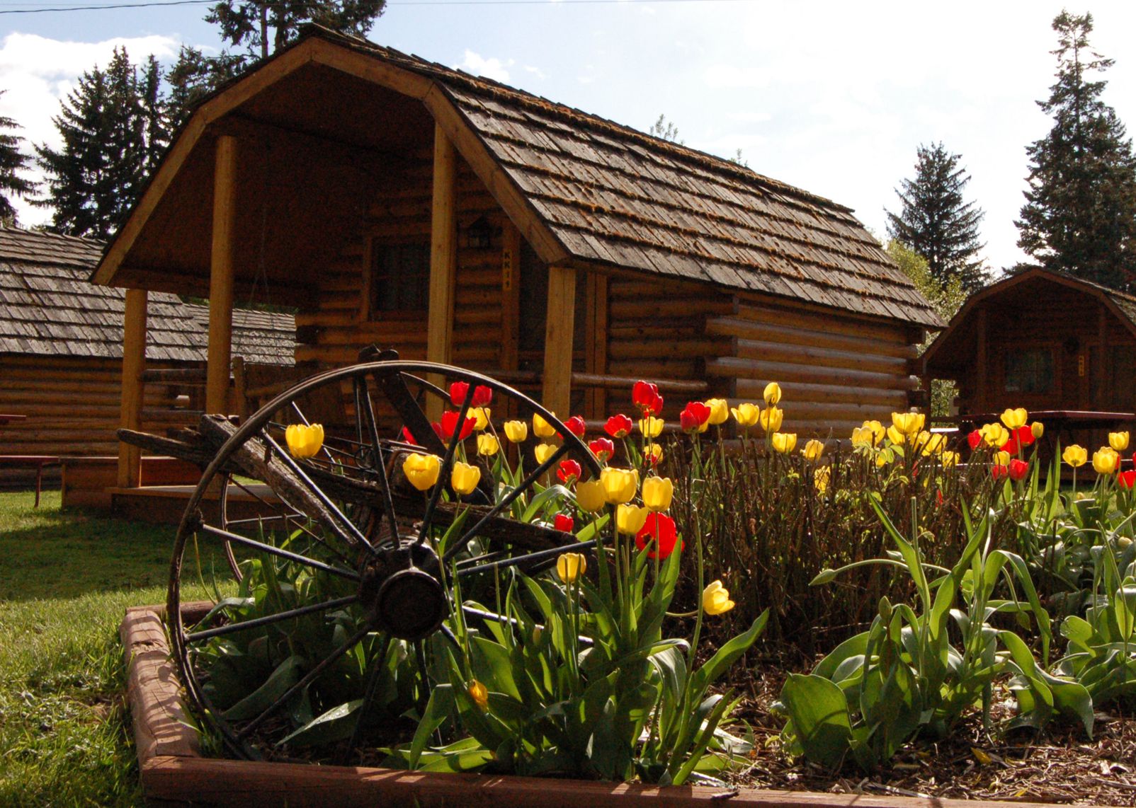 Cabin Sleeps 5 /
1 Room Cabin Sleeps