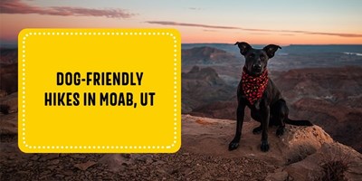 Dog-Friendly Hikes in Moab, UT
