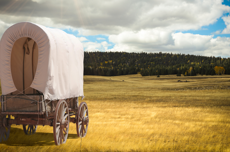 Pioneer Day Photo
