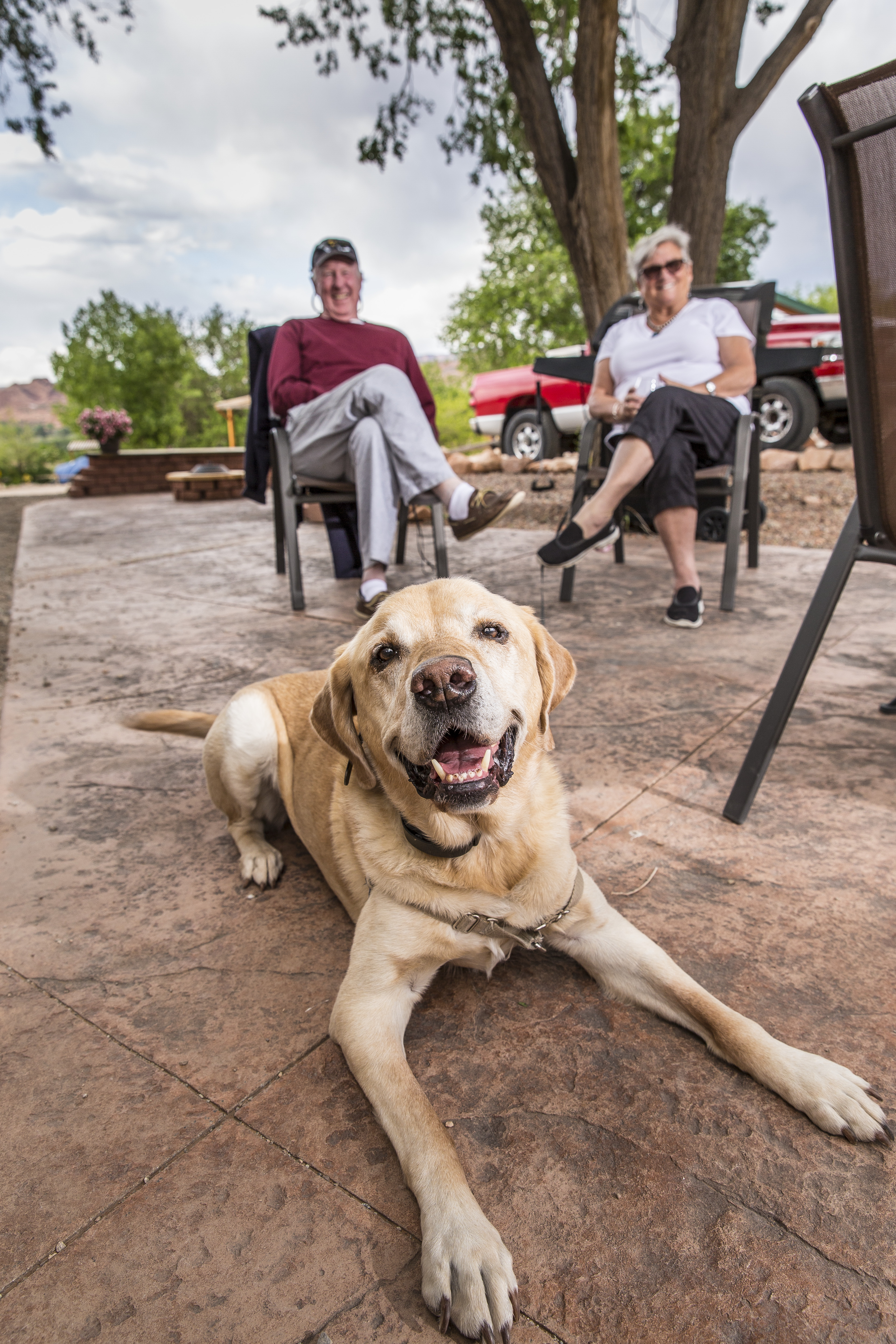 RV Pet Friendly