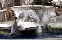 Toledo Zoo (Open Year-Round)
