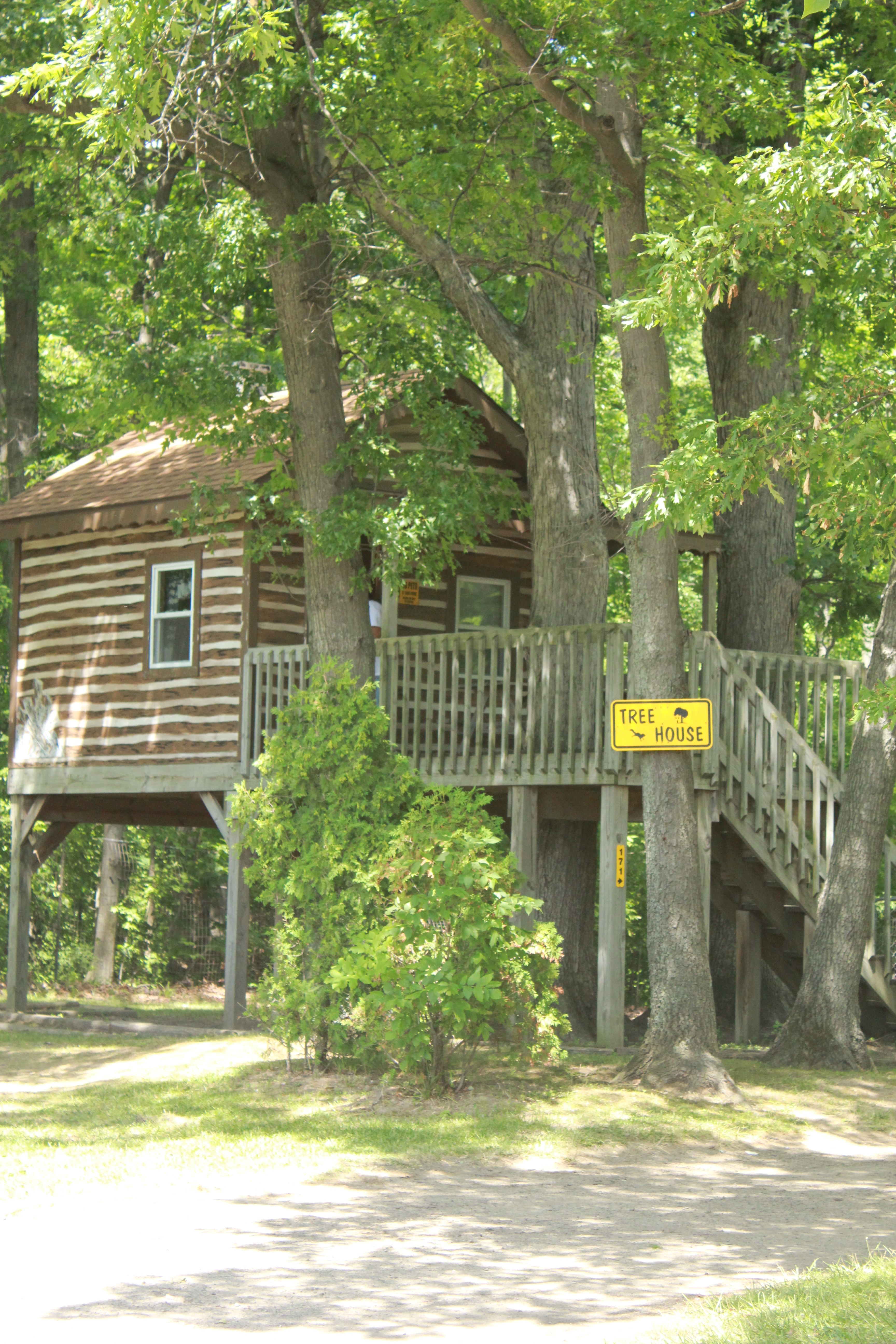 tree house