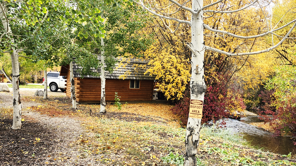 Fall is Magical @MontpelierCreekKOA