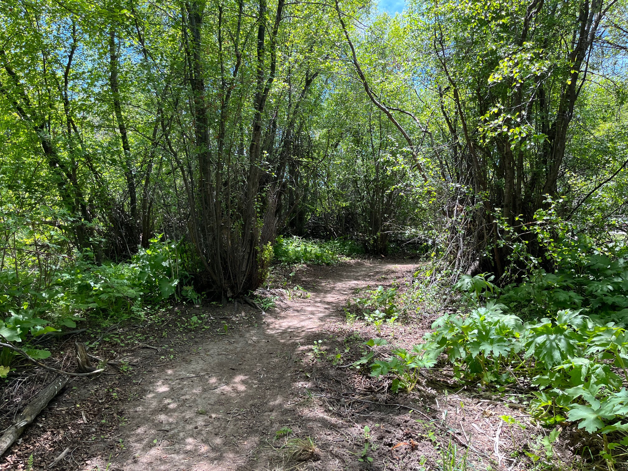 Lodging Ratings and Reviews for the Montpelier Creek KOA Journey Campground