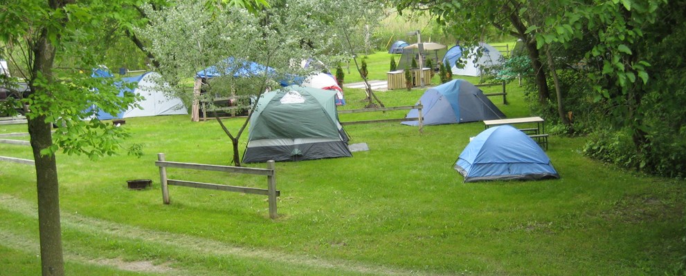 No hook-up tent sites