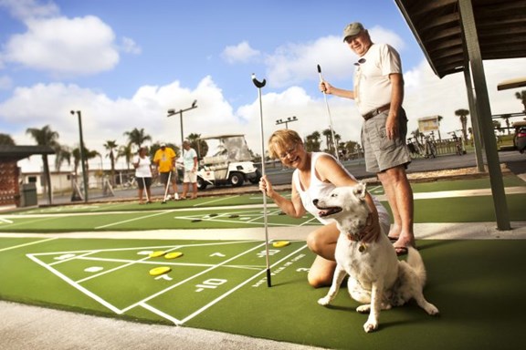 SHUFFLE BOARD