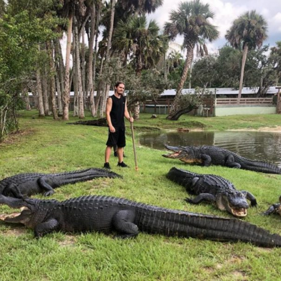 Gatorama