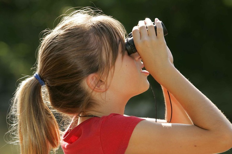 Young Birders Walk Photo