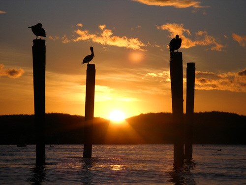 Moss Landing State Beach