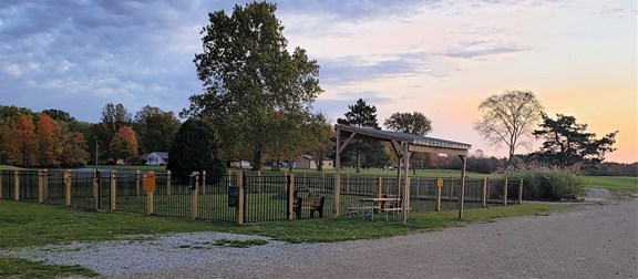 Dog Park