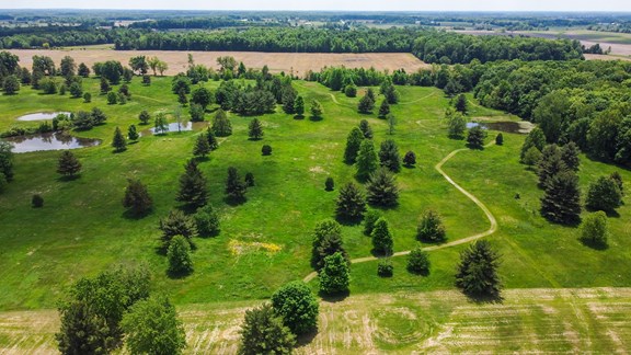 Meadow Trails