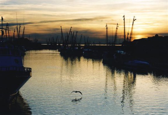 Shem Creek