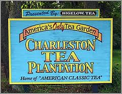 Charleston Tea Plantation