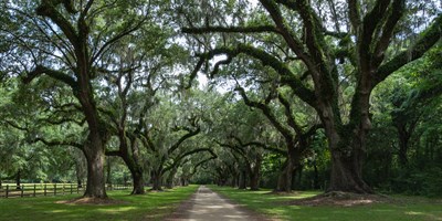 Summer Fun Around Charleston While Camping at Mount Pleasant